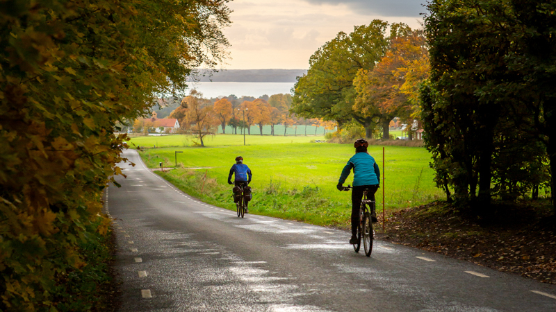 Två cyklister på asfaltsväg runt Ringsjöarna i höstlandskap